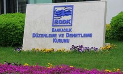 BDDK, kura devam dedi